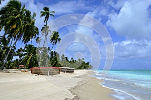 Beautiful tropical beach in Brazil, Maragogi, Alagoas, Nordeste photo